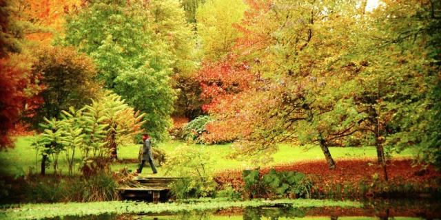 Arboretum de la Sédelle - Crozant ©J.Froment