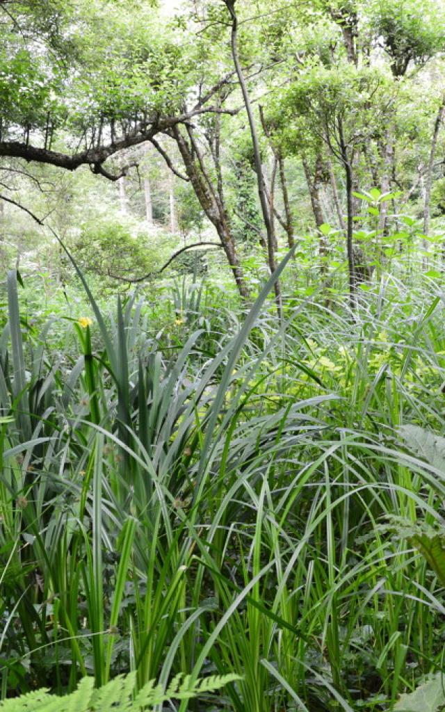 Jardin Clos du Préfons - Crozant