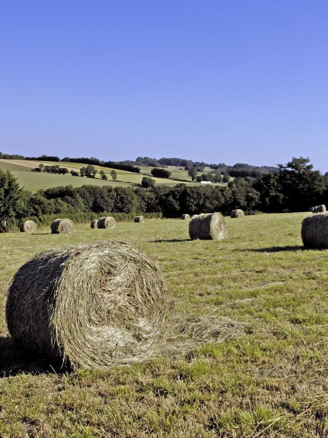 Nouzerolles ©J. Damase