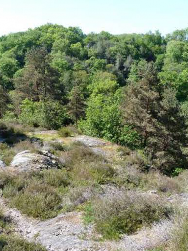 Les Combes De La Cazine