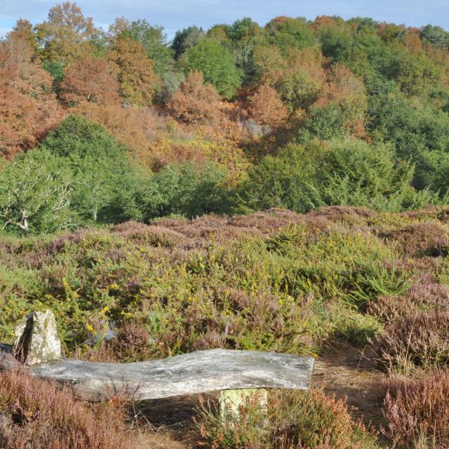 Arboretum De La Sédelle 1