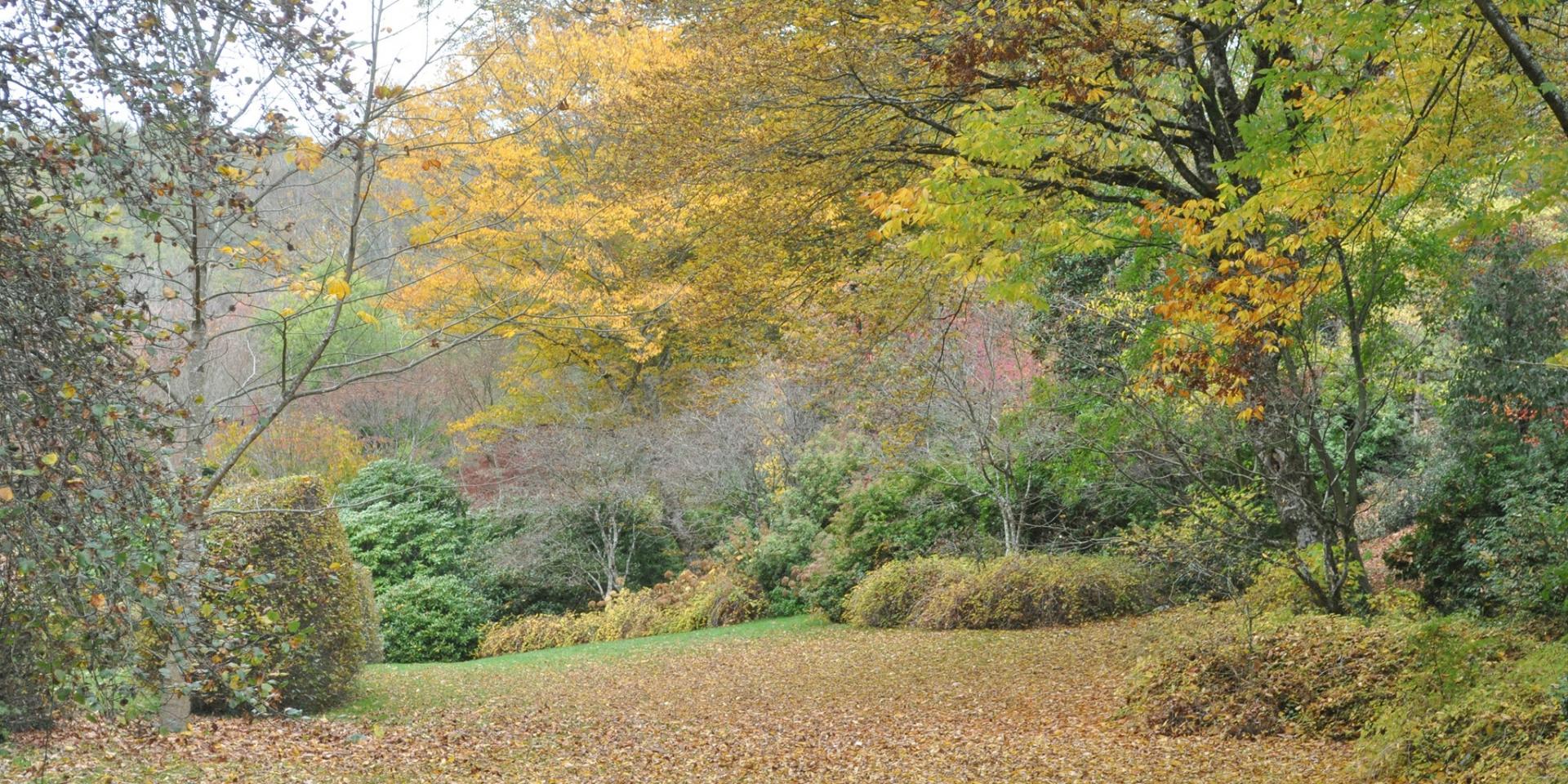 Arboretum De La Sédelle