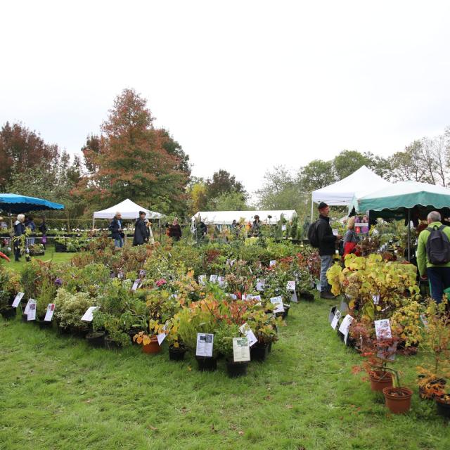 Arboretum De La Sédelle Fete Des Plantes
