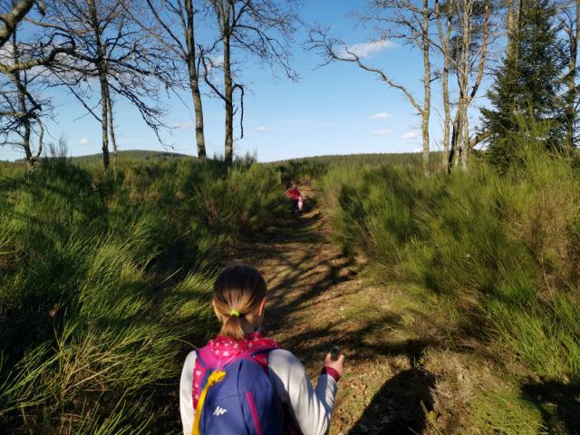Landes Et Tourbières De La Mazure (11)
