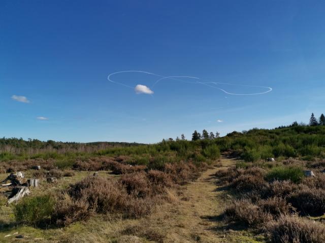 Landes Et Tourbières De La Mazure (16)