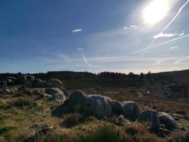 Landes Et Tourbières De La Mazure (24)