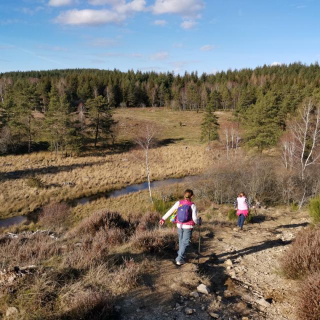 Landes Et Tourbières De La Mazure (25)
