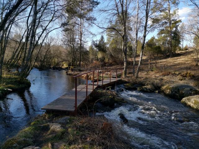 Landes Et Tourbières De La Mazure (33)