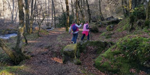 Landes Et Tourbières De La Mazure (35)