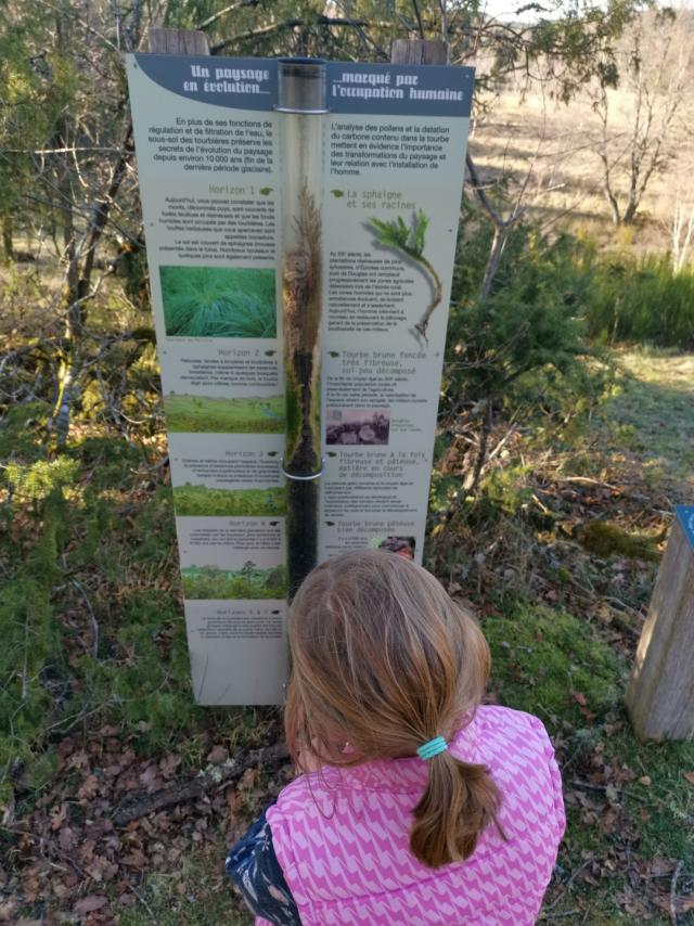 Landes Et Tourbières De La Mazure (39)