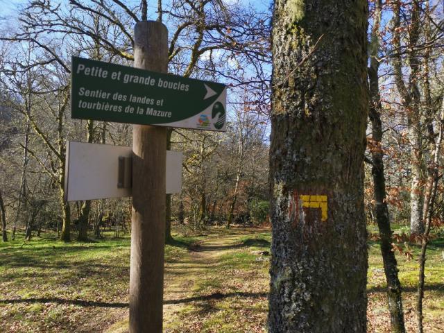 Landes Et Tourbières De La Mazure (4)