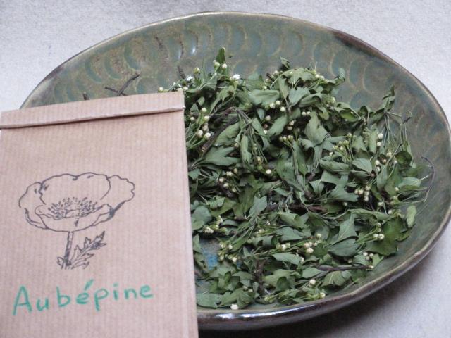 Aubépine