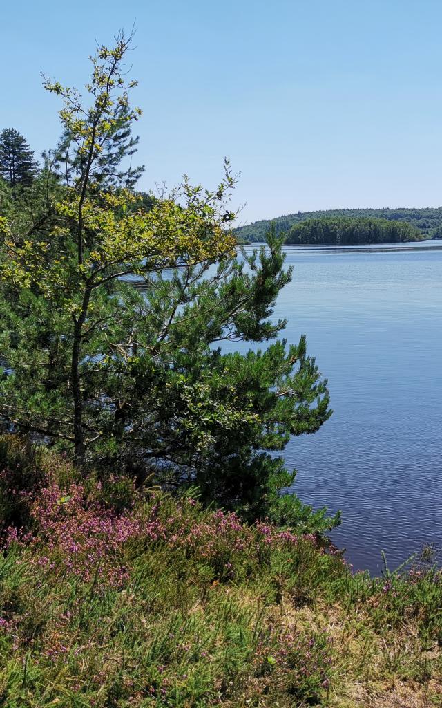 Le Lac de Vassivière