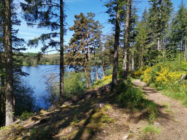 Le Lac de Vassivière