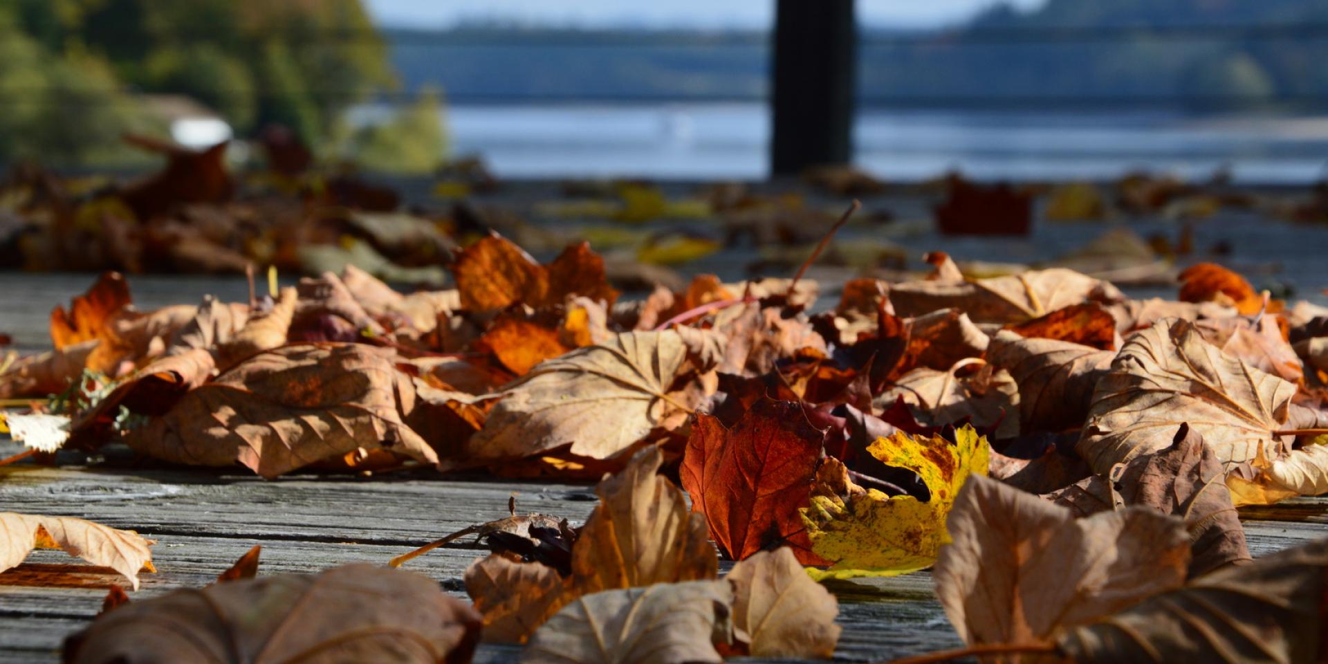 Road Trip Vassivière