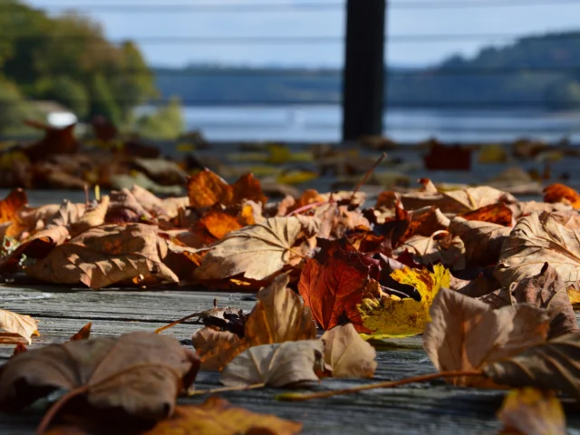 Road Trip Vassivière