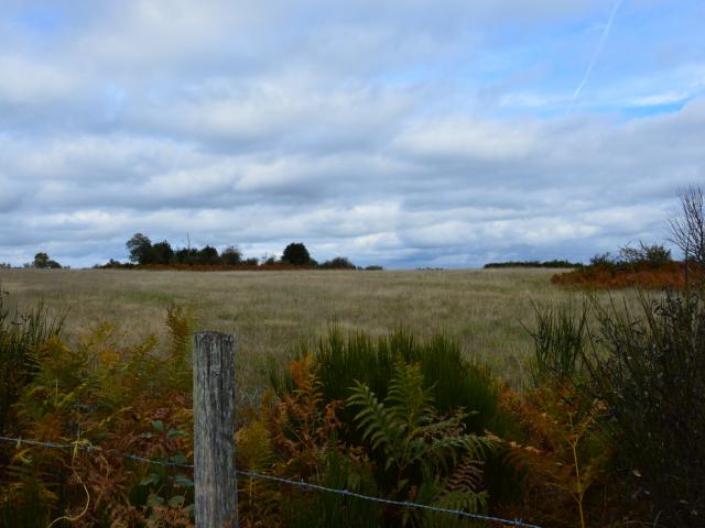 Road Trip Vassivière