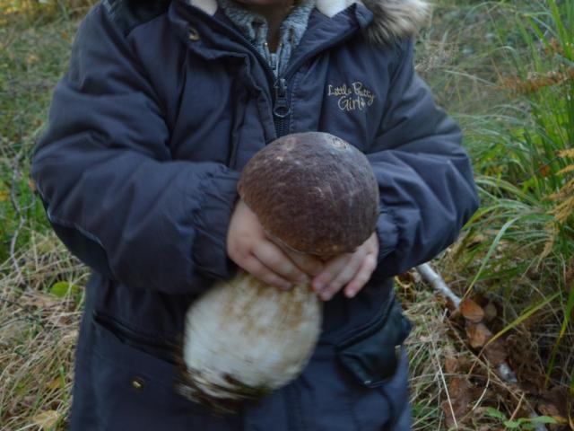 Road Trip Vassivière