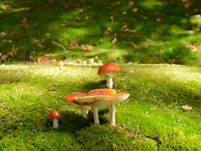 Road Trip Vassivière