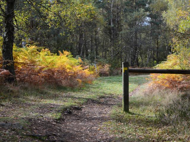 Road Trip Vassivière