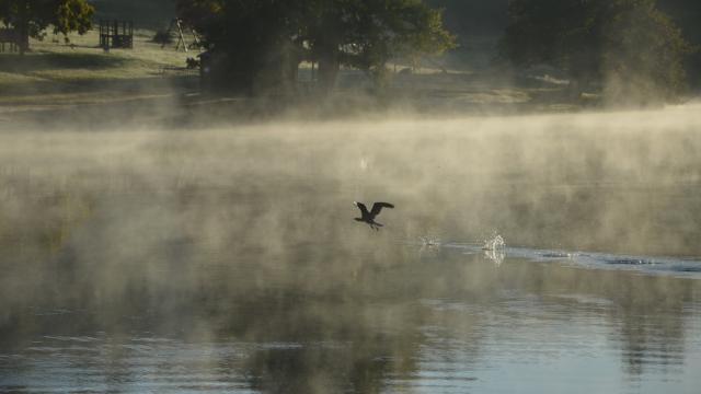 Road Trip Vassivière