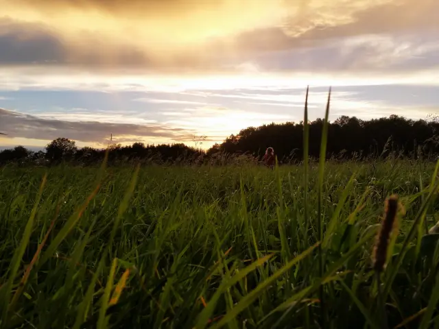 Road Trip Vassivière
