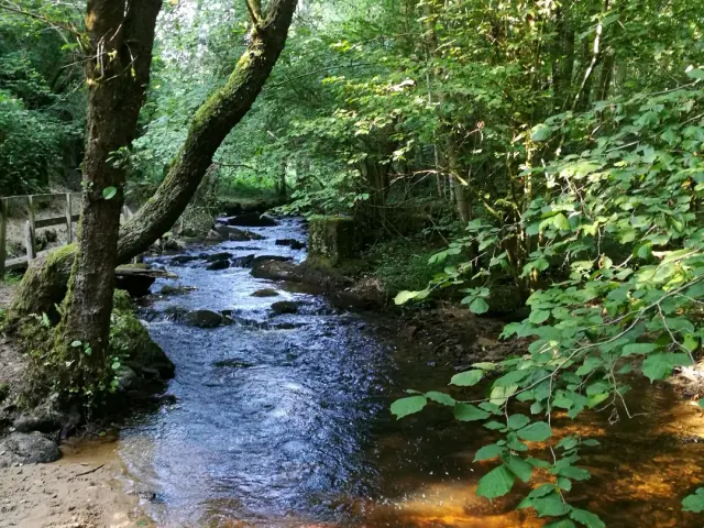 Les gorges du Verger