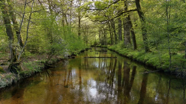 Vallée de la Maulde