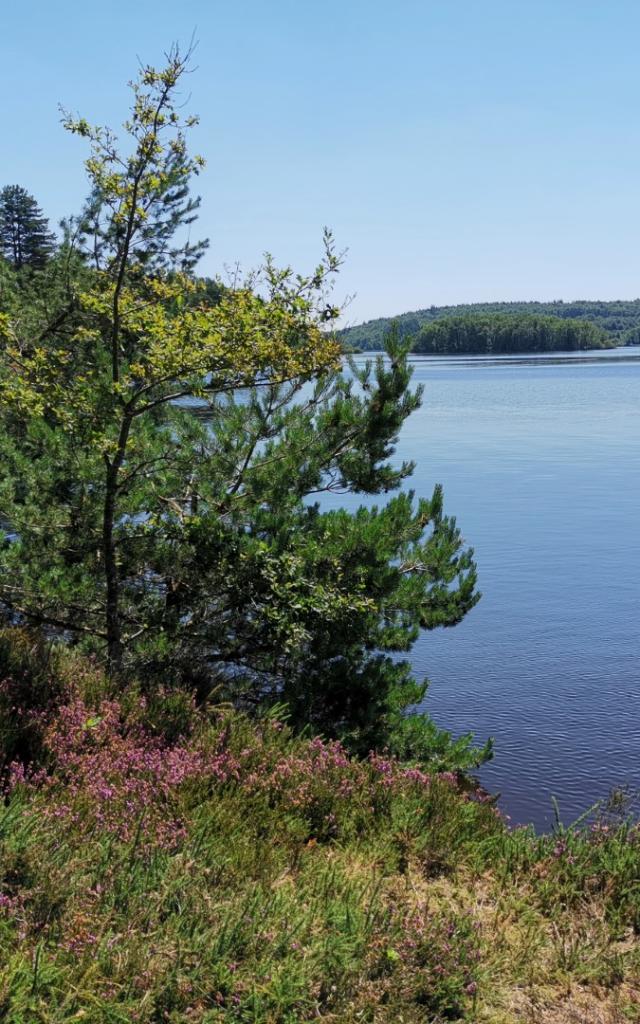 Lac de Vassivière
