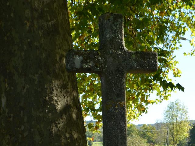 Platane de Moutier d'Ahun