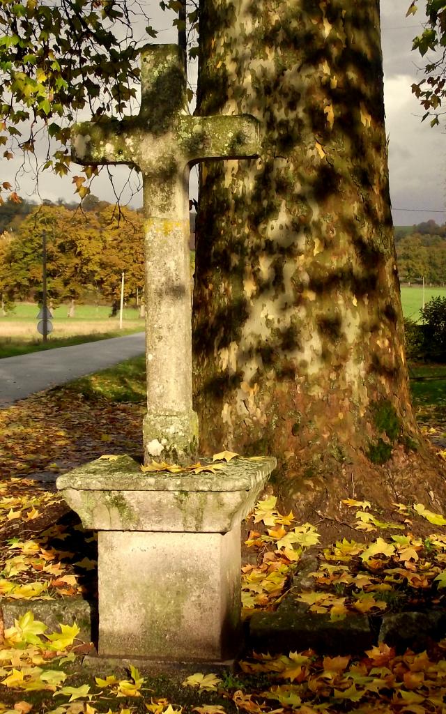 Platane de Moutier d'Ahun