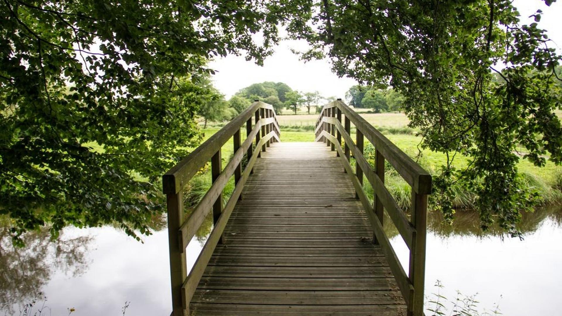 Etang Du Cheix La Souterraine