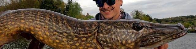 Brochet Lac De Vassivière
