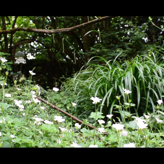 Jardin Clos Du Prefons1