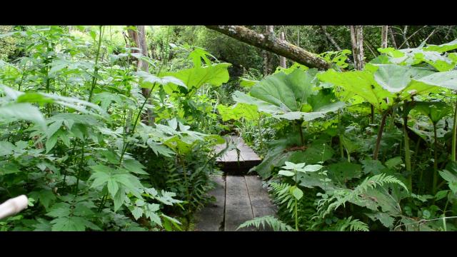 Jardin Clos Du Prefons11