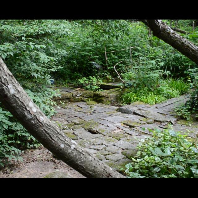 Jardin Clos Du Prefons4