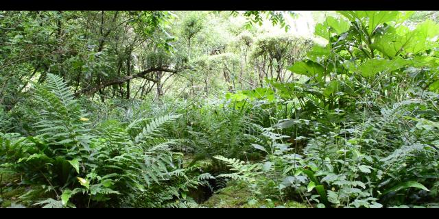 Jardin Clos Du Prefons6