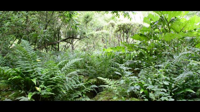 Jardin Clos Du Prefons6