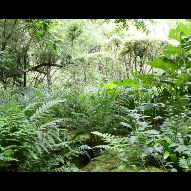 Jardin Clos Du Prefons6