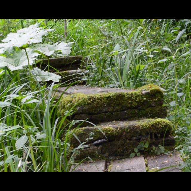 Jardin Clos Du Prefons8