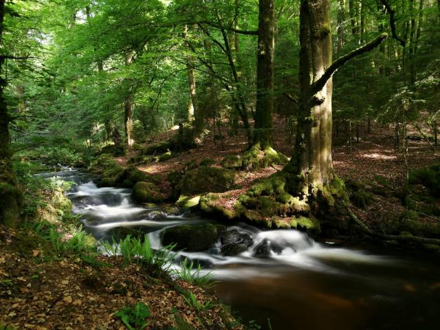 Cascades d'Augerolles