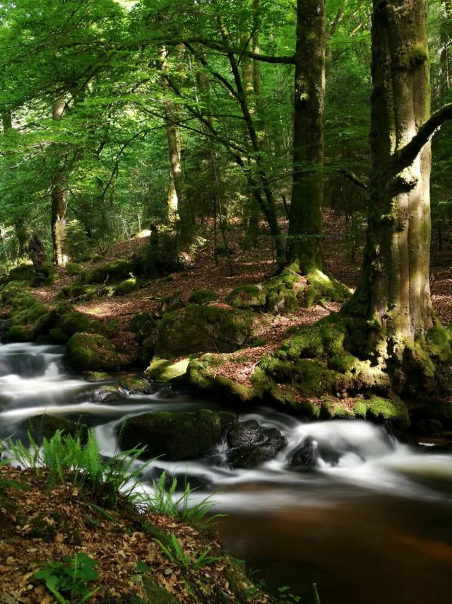 Cascades d'Augerolles