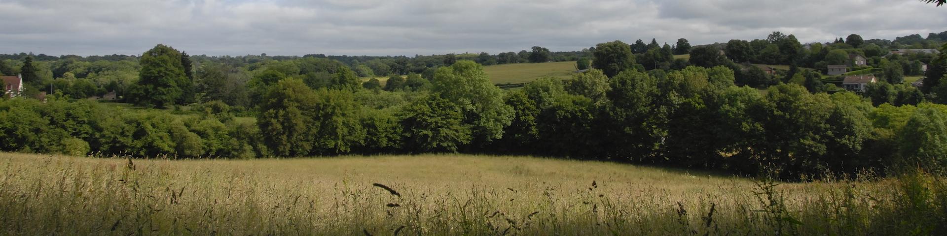 Campagne Portes De La Creuse En Marche