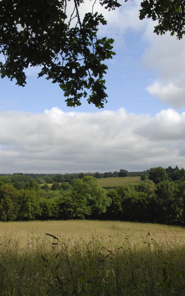 Campagne Portes De La Creuse En Marche
