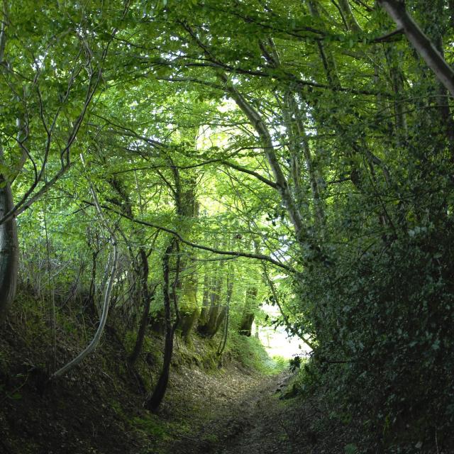La Cellette Portes De La Creuse En Marche