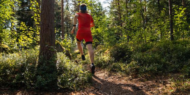 Trail dans les Monts de Guéret