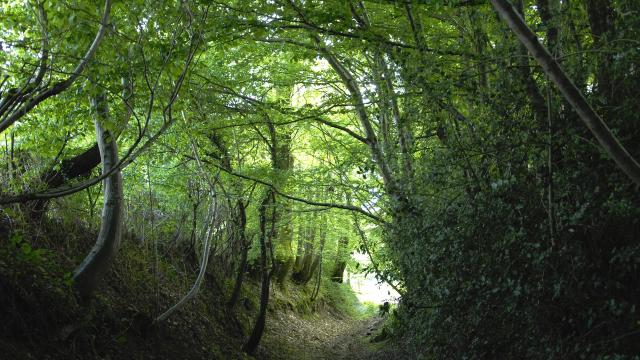 La Cellette Portes De La Creuse En Marche