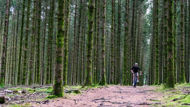 VTT dans les Monts de Guéret