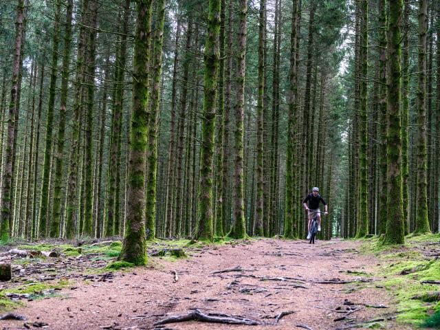 VTT dans les Monts de Guéret