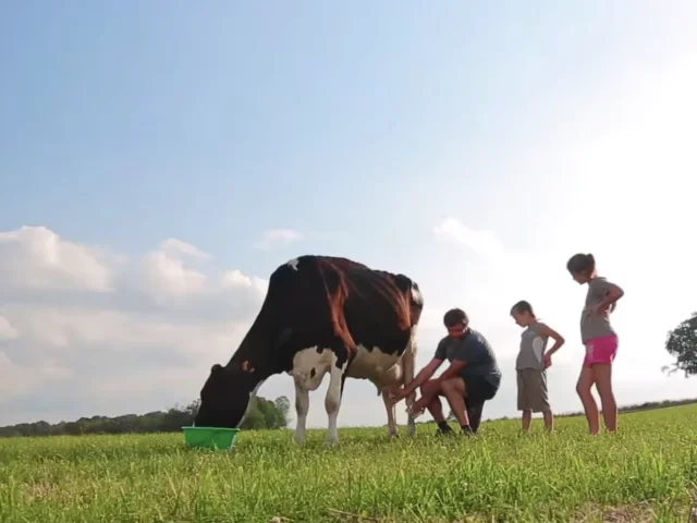 Visite de la ferme pédagogique - La ferme Arc en Ciel - St Léger le Guéretois